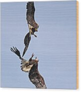 Eagle Ballet Wood Print