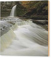 Eagle Cliff Falls In Autumn Wood Print