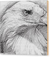 Eagle Portrait Wood Print
