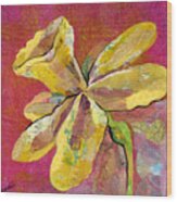 Early Spring Ii Daffodil Series Wood Print