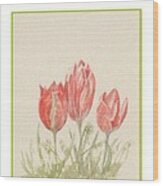 Easter Card Showing Wild Cretan Tulips Wood Print