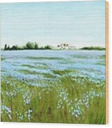 Eastern Shore Maryland Field Of Blue Flowers Wood Print