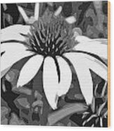 Echinacea - Digital Art Wood Print