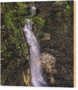 Eden Falls Lost Valley Buffalo National River Wood Print