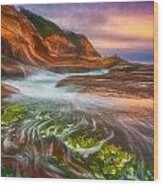 Eel Grass Sunset Wood Print