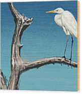 Egret Wood Print