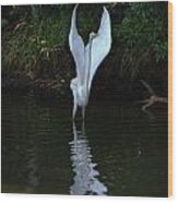 Egret Take Off Wood Print