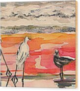 Egrets And Sea Gull At Sunrise 11-5-14 Wood Print
