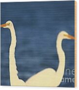 Great Egret Impressions #1 Wood Print