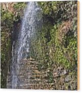 Ein Gedi National Park Wood Print