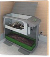 Electronic Indoor Composter Wood Print