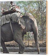 Elephant On The Road In India Wood Print