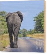 Elephant Walking Wood Print