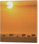 Elephants At Sunset Wood Print