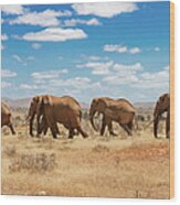 Elephants Walking In The Queue Wood Print