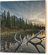 Elk Antler Adds Reflection To Mountain Wood Print