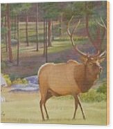 Elk Mates Moraine Park Wood Print