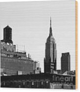 Empire State Building From Hi Line Wood Print