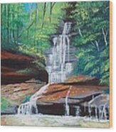 Empress Falls Australia Wood Print