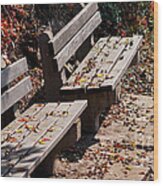 Empty Benches In Autumn Wood Print