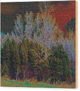 Enchanted Forest 10 Wood Print