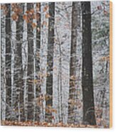 Enchanted Forest Wood Print