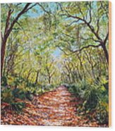 Enchanted Path Wood Print