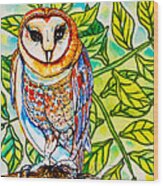 Endangered Barn Owl Wood Print
