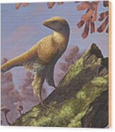 Eosinopteryx Brevipenna Perched Wood Print