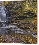 Erie Falls Wood Print