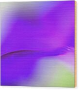 Ethereal Macro Of A Vibrant Purple Wood Print