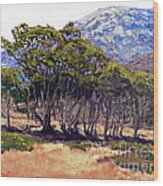 Eucalyptus Grove 2 Harbors Catalina Island Wood Print