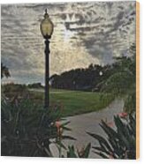 Evening In Venice Fl Wood Print