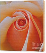 Eye Of The Rose Wood Print