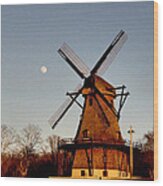 Fabyan Windmill Wood Print
