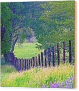 Fairy Tale Meadow With Lupines Wood Print