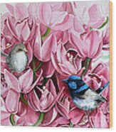 Fairy Wrens And Orchids Wood Print