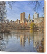 Fall Afternoon At Central Park Wood Print