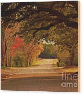 Fall Along A Country Road Wood Print
