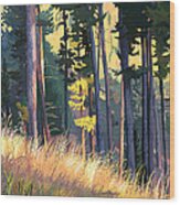 Fall Alpenglow Trees Grasses Wood Print