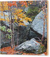 Fall Among The Rocks Wood Print