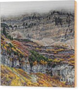 Fall At Mt. Timpanogos - Utah Wood Print