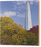 Fall At The St Louis Arch Wood Print