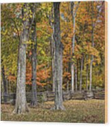 Fall Color #1 Wood Print