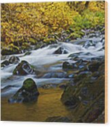 Fall Color In Sol Duc River Wood Print