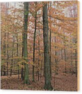 Fall Colors In Catoctin Mt. Park Wood Print