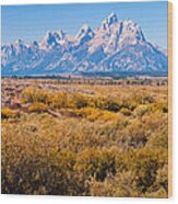 Fall Colors In The Tetons Wood Print