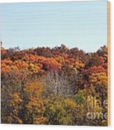 Fall Colors Of Iowa Series 2 Wood Print