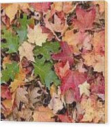 Fall Colors Wood Print