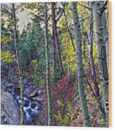 Fall Creek Wood Print